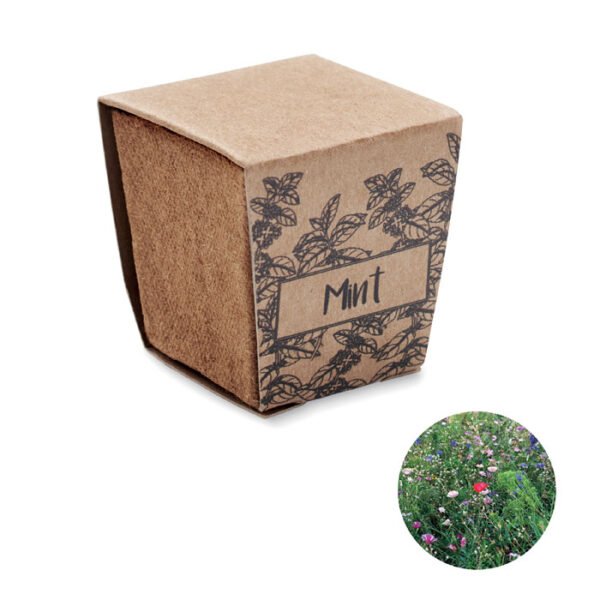Kit cultivo semillas de menta MINT KIT