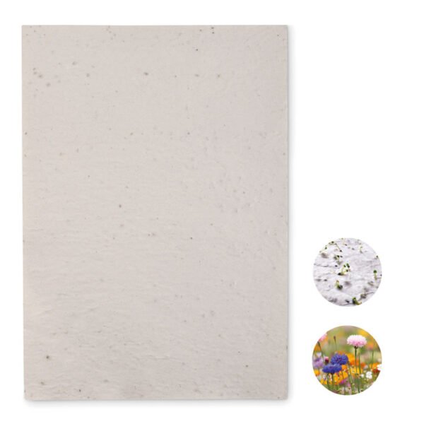 Hoja A4 de papel con semillas ASIDI